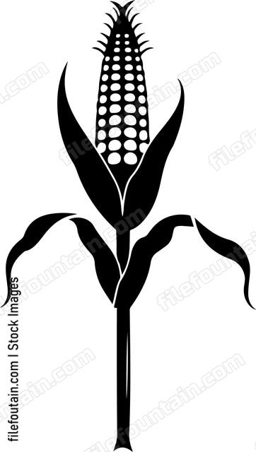 Corn On A Stick