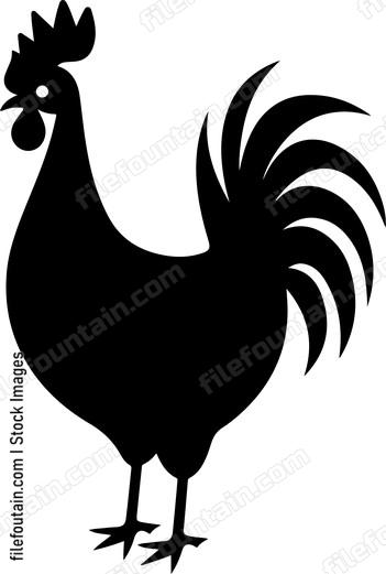 Cornish Chicken Rooster