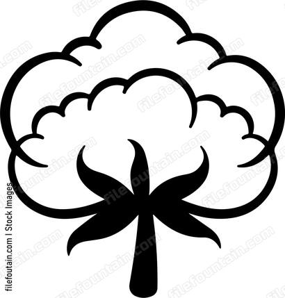 Cotton