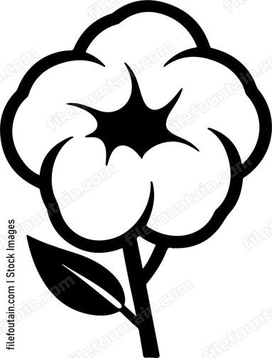 Cotton