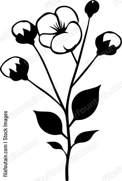 Cotton Branch