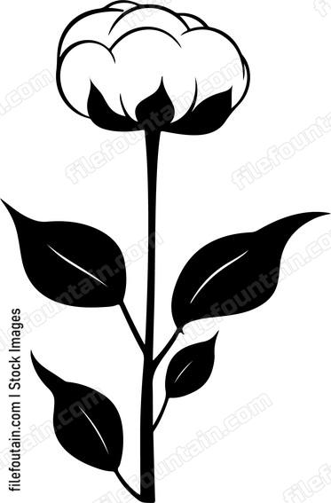 Cotton Flower
