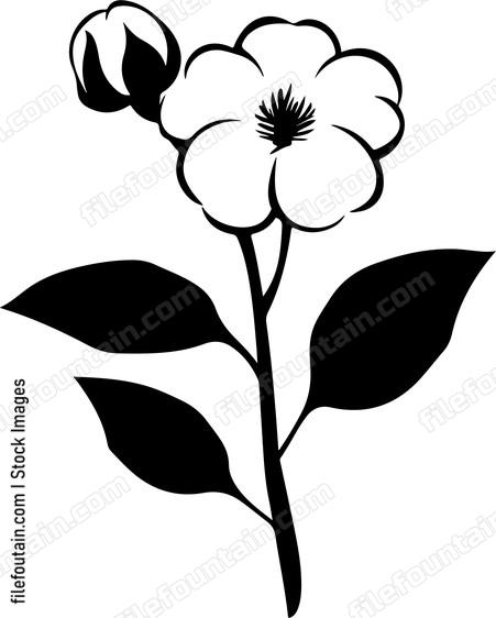 Cotton Flower