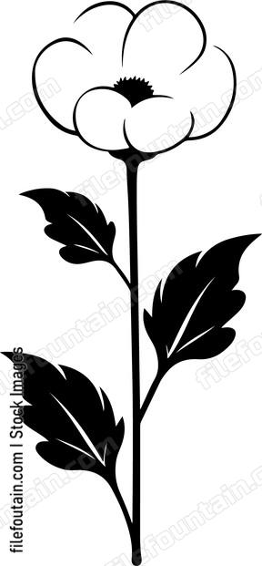 Cotton Flower