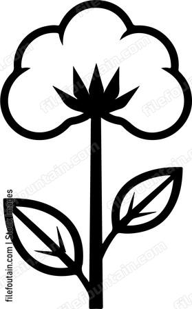 Cotton Flower