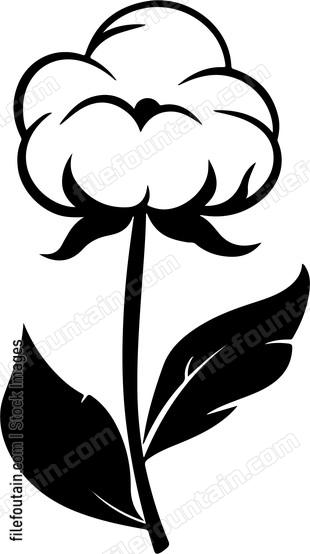 Cotton Flower