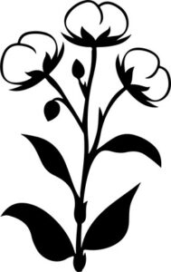 Cotton Plant