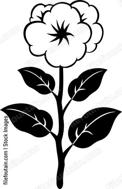 Cotton Plant
