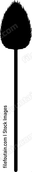 Cotton Swab