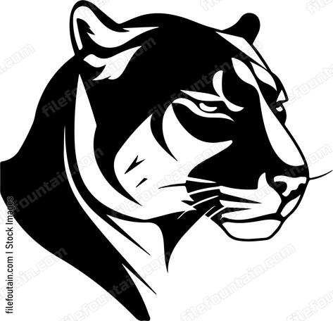 Cougar