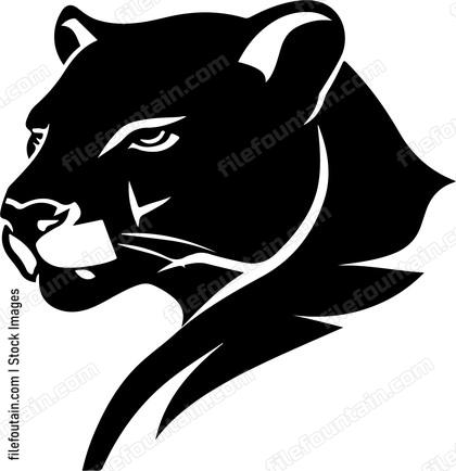 Cougar