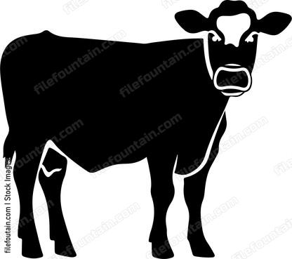 Cow