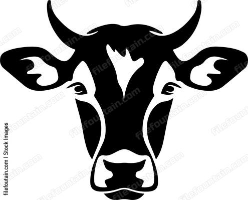 Cow Face