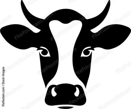 Cow Face