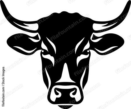 Cow Head