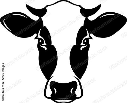 Cow Head