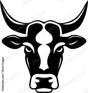 Cow Head