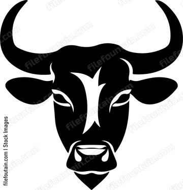 Cow Head
