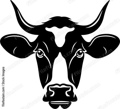 Cow Head