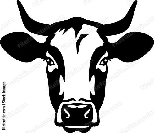 Cow Head