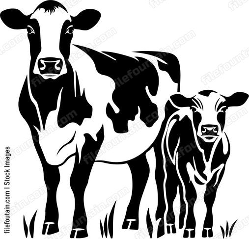 Cow Mama And Baby