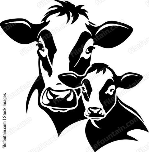 Cow Mama And Baby