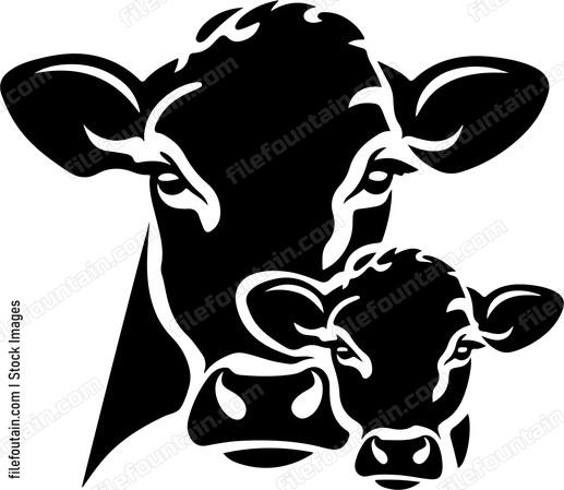 Cow Mama And Baby