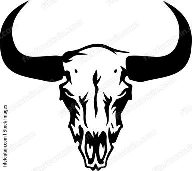 Cow Skull