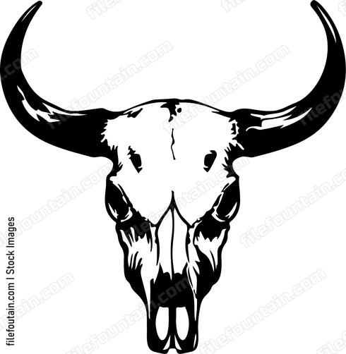 Cow Skull