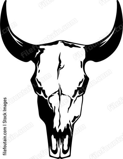 Cow Skull