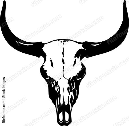 Cow Skull