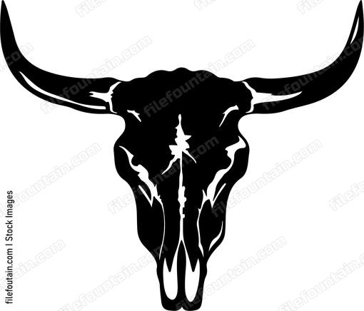 Cow Skull