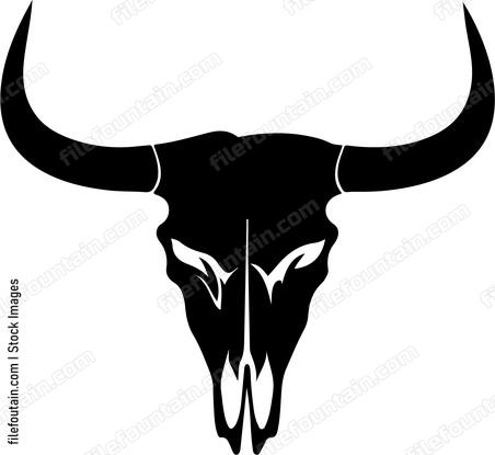 Cow Skull