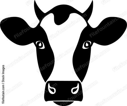 Cow Staring