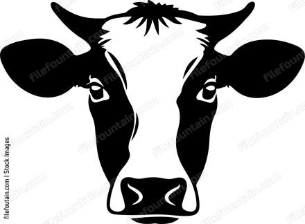 Cow Staring