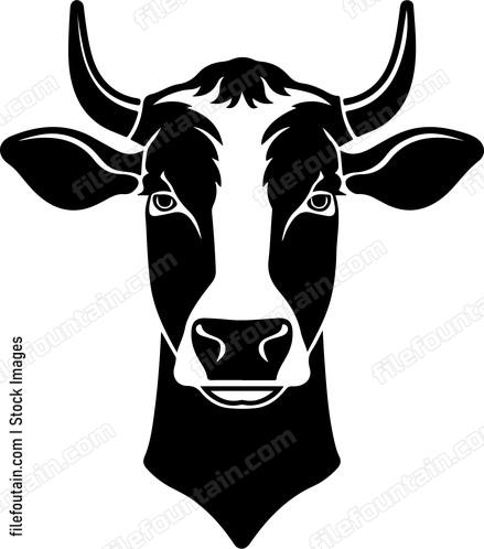 Cow Staring