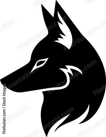 Coyote