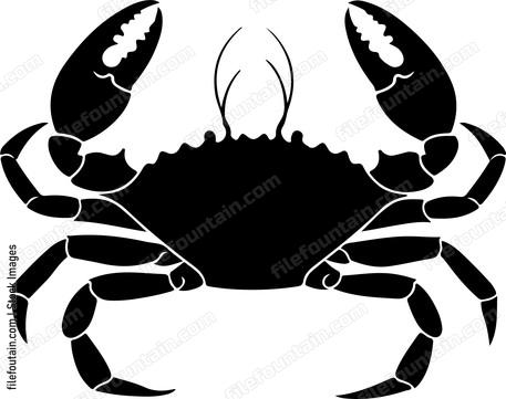 Crab