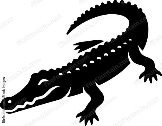 Crocodile
