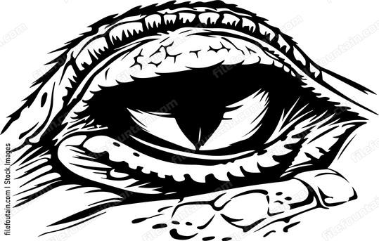 Crocodile Eye