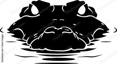 Crocodile Submerged In Water Face