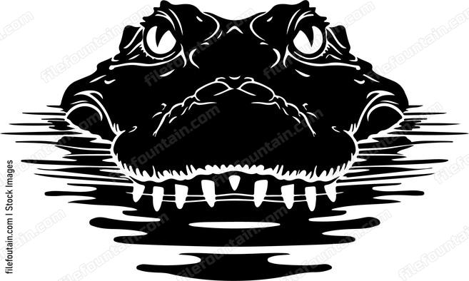 Crocodile Submerged In Water Face