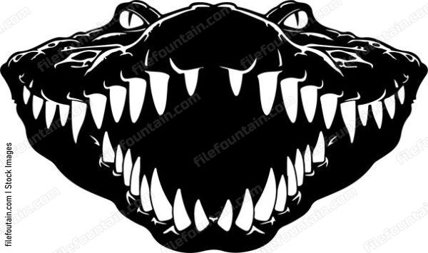 Crocodile Teeth