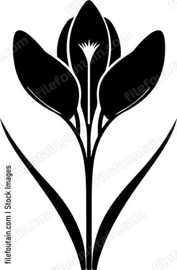 Crocus Flower Single