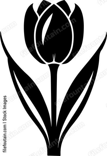 Crocus Flower Single
