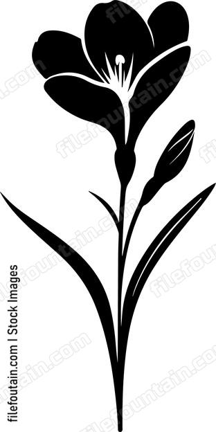Crocus Flower Single