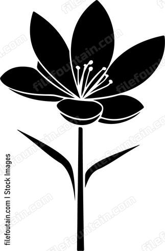 Crocus Flower Single