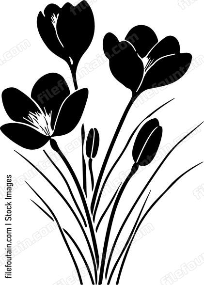 Crocus Flowers