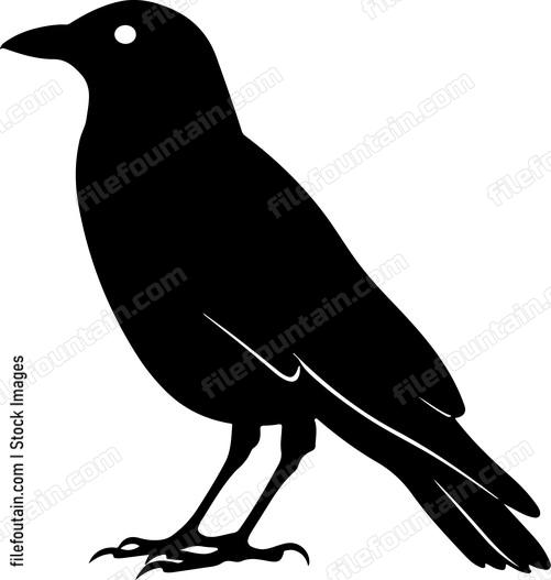 Crow