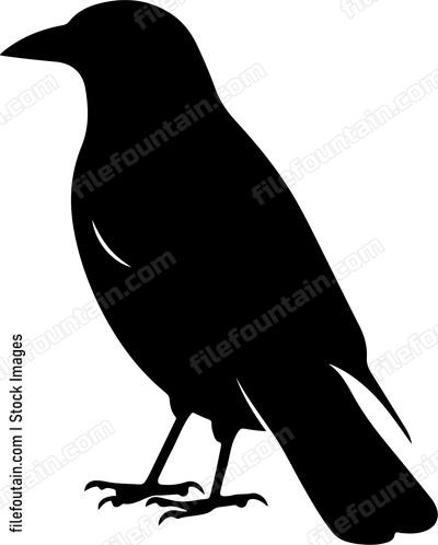 Crow